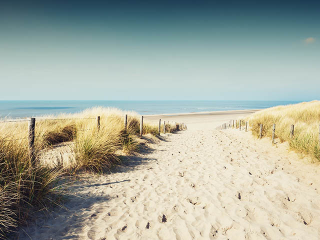 Sandy dunes on the sea coast in Noordwijk, Netherlands, Europe.